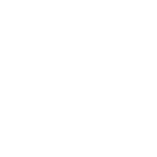 bingo_ico_2